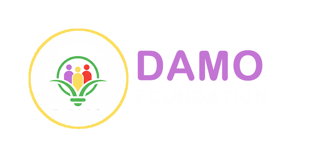 Damo Foundation